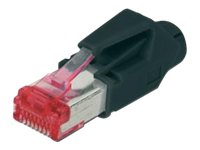 ASSMANN - Netzwerkanschluss - RJ-45 (M) - abgeschirmt - CAT 6 - geschirmt