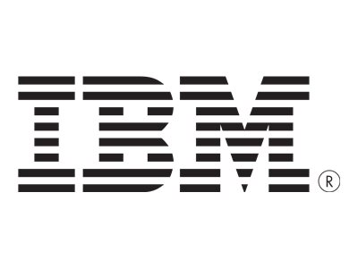 IBM - Internes SAS-Kabel