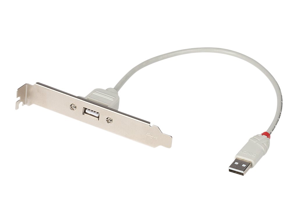 Lindy USB PC Back Plate - USB-Adapter - USB (W) zu USB (M) - 30 cm