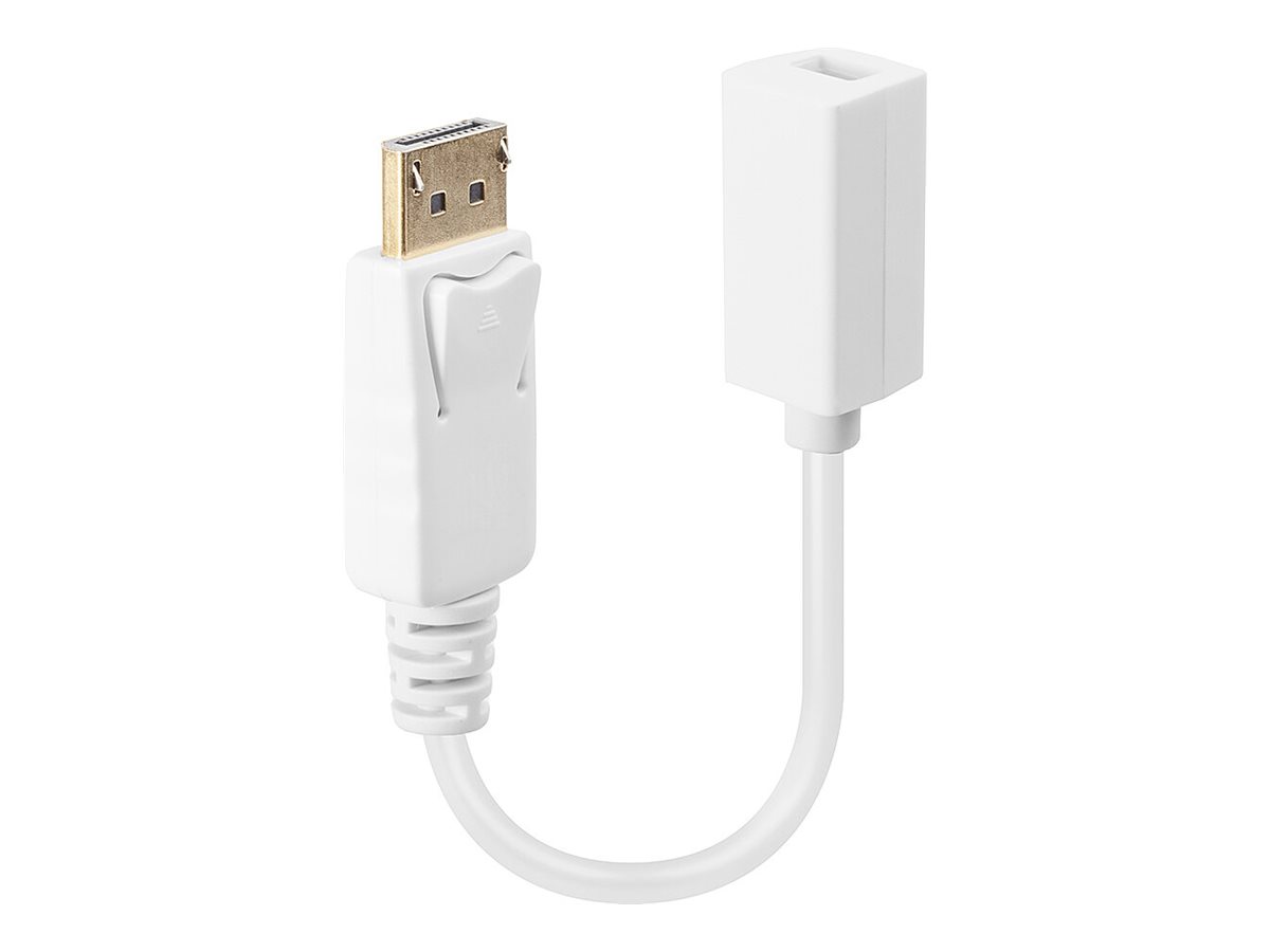 Lindy - DisplayPort-Adapter - DisplayPort (M) zu Mini DisplayPort (W) - 15 cm - weiß