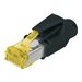 ASSMANN - Netzwerkanschluss - Hirose (M) - abgeschirmt - CAT 6a