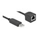 Delock - Serieller Adapter - USB (M) zu RJ-45 (W) - 2 m - USB / USB 2.0 / EIA-232 - Schwarz