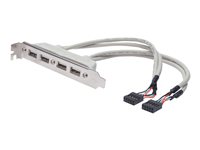 ASSMANN - USB-Konsole - 10 PIN IDC (W) zu USB (W) - 25 cm - geformt - beige