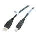 APC NetBotz NBAC0211L - USB-Kabel - USB (M) zu USB Typ B (M) - USB 2.0 - 5 m - Schwarz