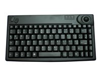 Active Key AK-440-TU - Tastatur - USB - Schweiz - Schwarz