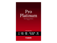 Canon Photo Paper Pro Platinum - A3 plus (329 x 423 mm) - 300 g/m - 10 Blatt Fotopapier - fr PIXMA iP8720, IX6820, PRO-1, PRO-