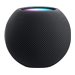 Apple HomePod mini - Smart-Lautsprecher - Wi-Fi, Bluetooth - App-gesteuert - Space-grau