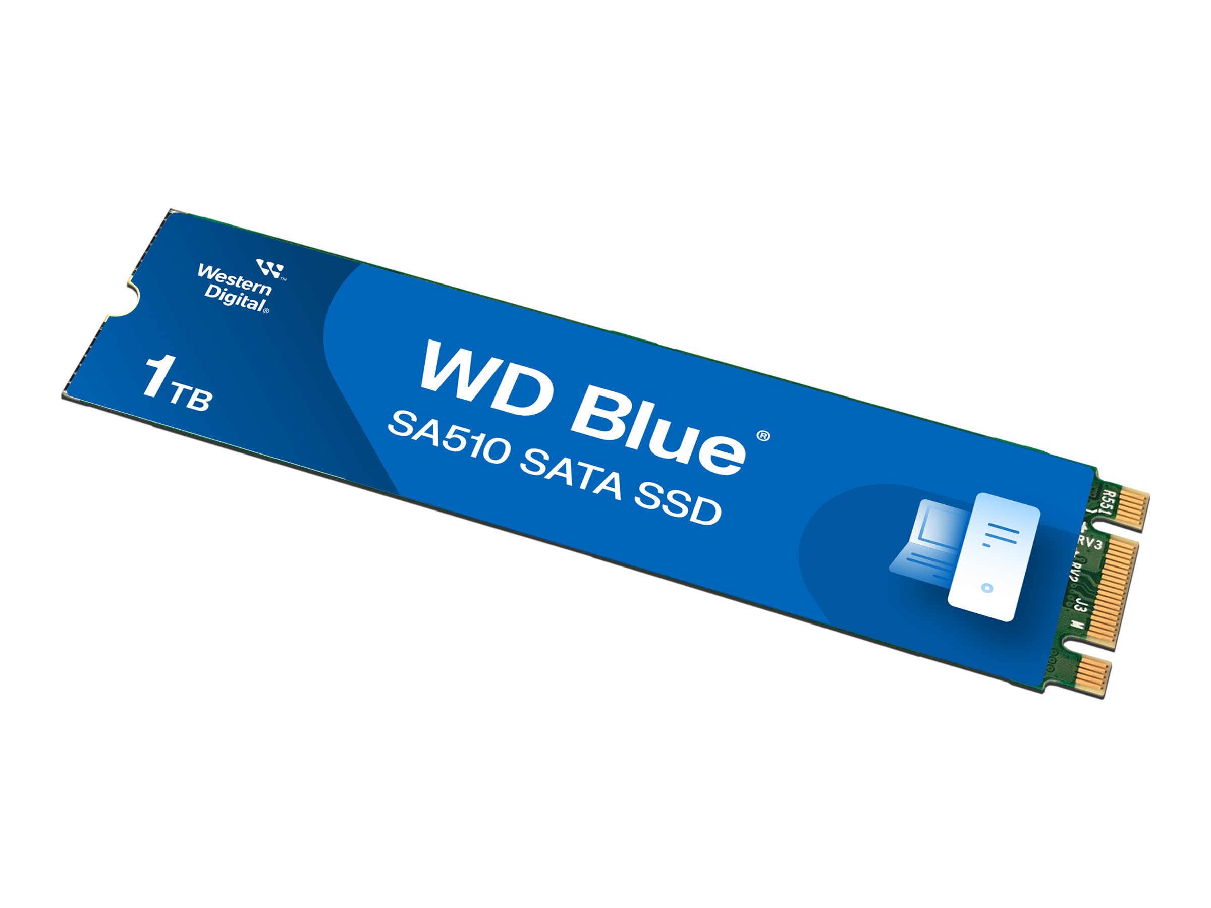 WD Blue SA510 WDS100T3B0B - SSD - 1 TB - intern - M.2 2280 - SATA 6Gb/s