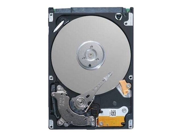 Dell - Kunden-Kit - Festplatte - verschlsselt - 2.4 TB - Hot-Swap