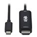 Tripp Lite USB C to HDMI Adapter Cable, 4K 60Hz, HDR, HDCP 2.2, DP 1.2 Alt Mode, Black, 6ft. - Video- / Audiokabel - 24 pin USB-