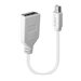 Lindy - DisplayPort-Adapter - Mini DisplayPort (M) zu DisplayPort (W) - 15 cm - weiss