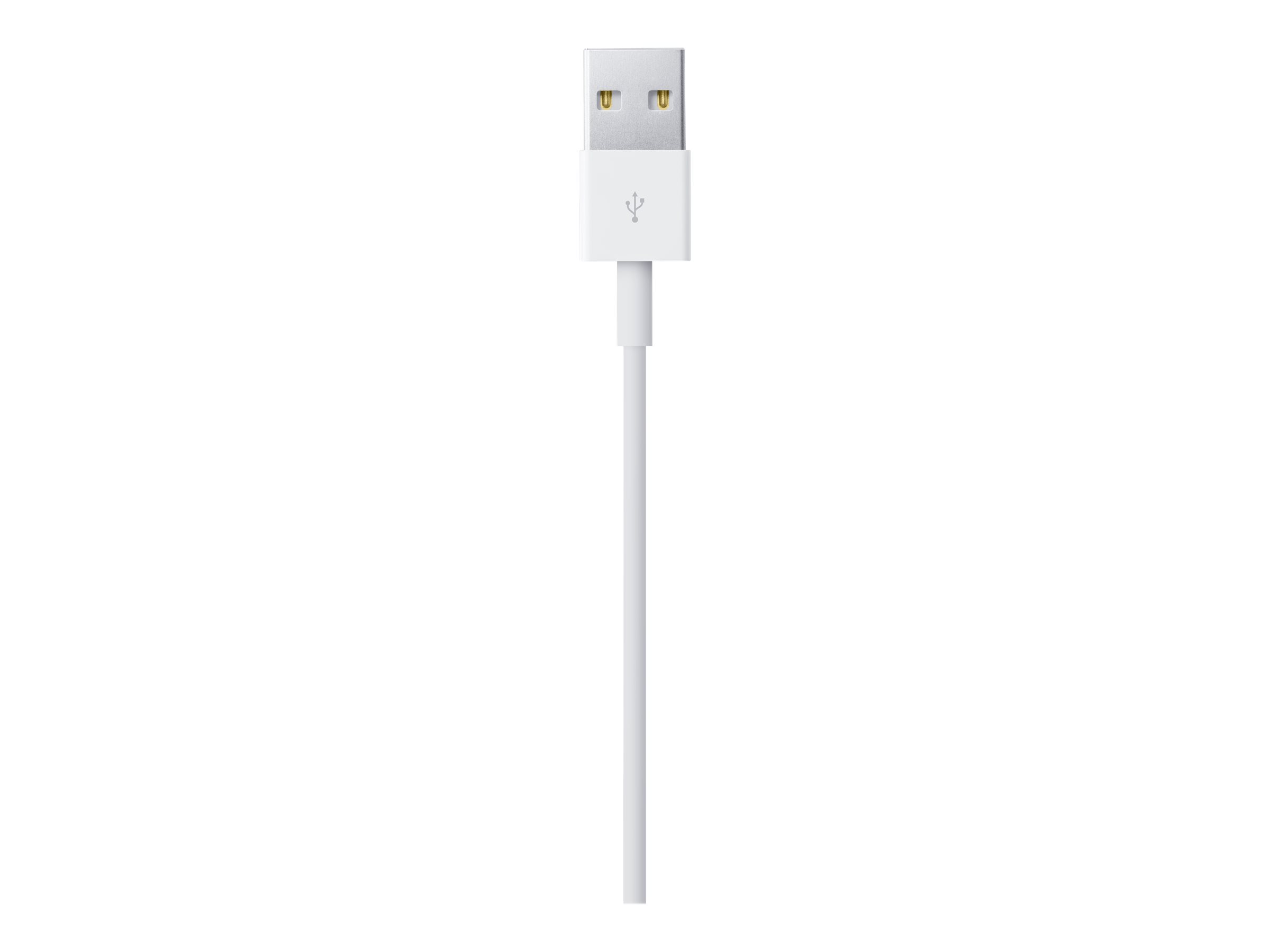 Apple - Lightning-Kabel - Lightning mnnlich zu USB mnnlich - 1 m