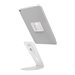 Compulocks Hovertab Security Tablet Lock Stand - Aufstellung - fr Mobiltelefon / Tablet - verriegelbar - Stahl - weiss