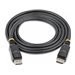 StarTech.com 50cm DisplayPort 1.2 Kabel mit Verriegelung (Stecker/Stecker) - DP 4k Audio- / Videokabel Kabel - Schwarz - Display