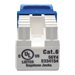 Eaton Tripp Lite Series Cat6/Cat5e 110 Punch Down Keystone Jack - Modulare Eingabe - RJ-45 - Blau