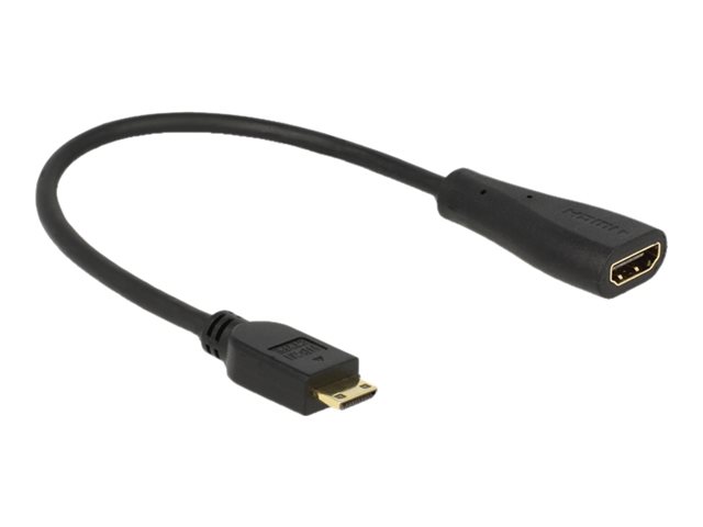 Delock - HDMI-Kabel mit Ethernet - 19 pin mini HDMI Type C mnnlich zu HDMI weiblich - 23 cm - Schwarz