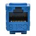 Eaton Tripp Lite Series Cat6/Cat5e 110 Punch Down Keystone Jack - Modulare Eingabe - RJ-45 - Blau