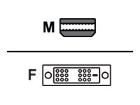 AMD - Videoadapter - Mini DisplayPort (M) zu DVI-D (W)