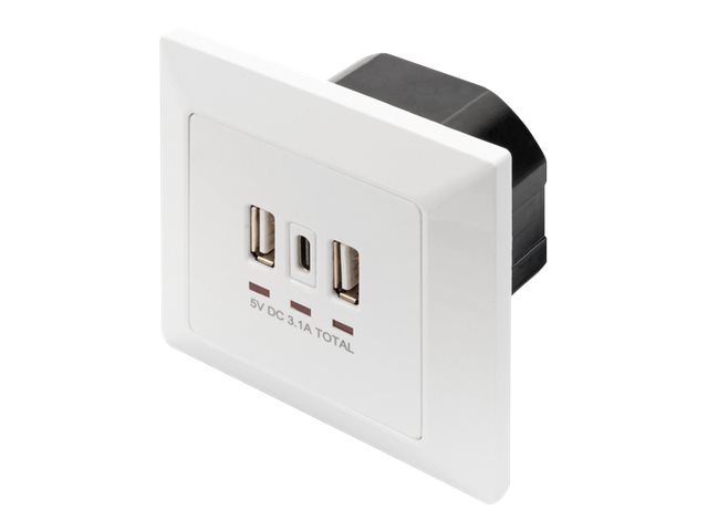 DIGITUS DA-70618 - USB-Ausgang - USB, USB Typ-C - 2 USB-Anschl 1/4 sse, 1 USB-C socket - 3.1 A - RAL 9003, Signal White