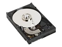 Dell - Festplatte - 8 TB - Hot-Swap - 3.5