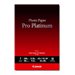 Canon Photo Paper Pro Platinum - A3 plus (329 x 423 mm) - 300 g/m - 10 Blatt Fotopapier - fr PIXMA iP8720, IX6820, PRO-1, PRO-