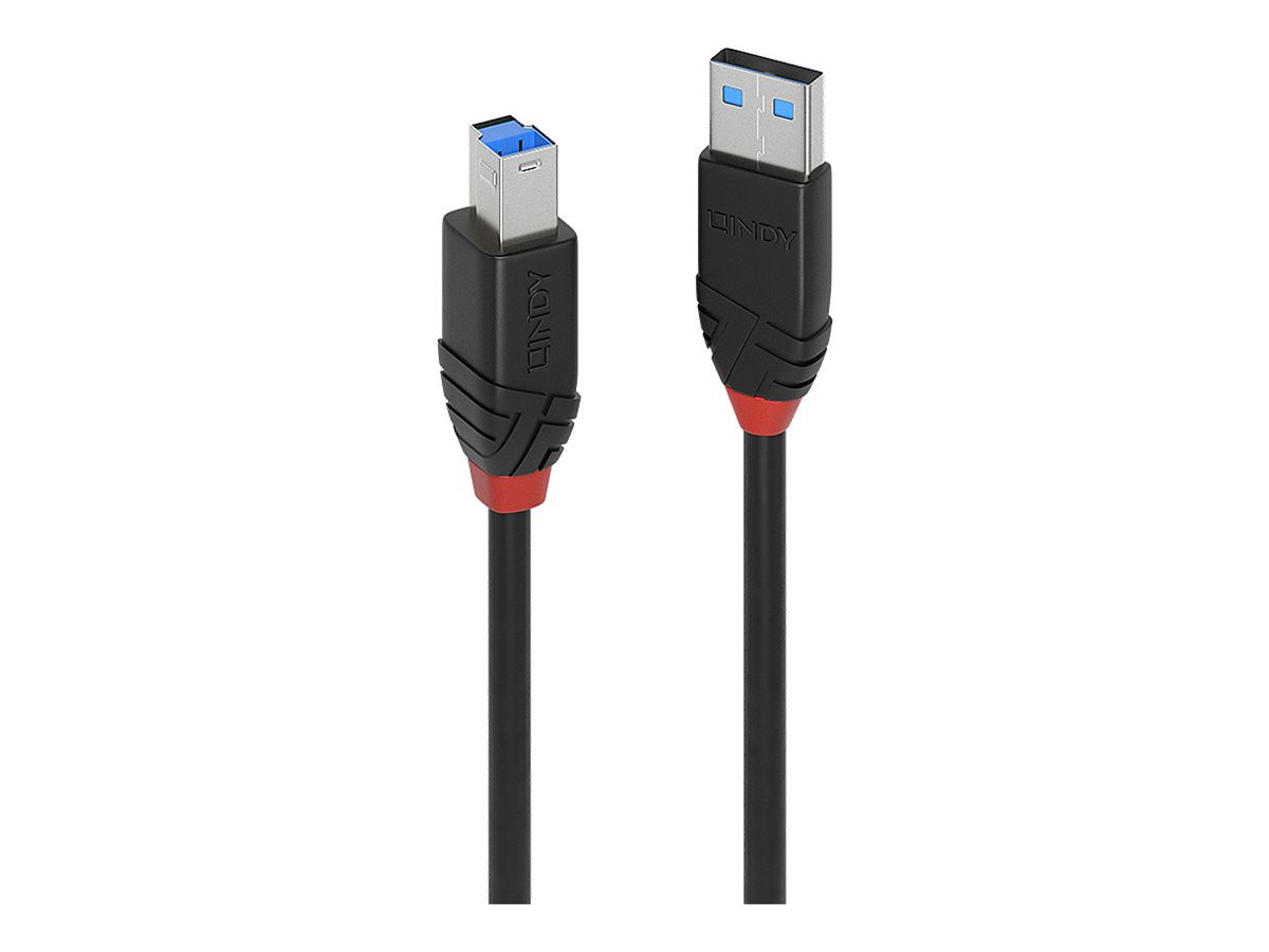 Lindy - USB-Kabel - USB Typ A (M) zu USB Type B (M) - USB 3.1 Gen1 - 10 m - rund, aktiv