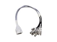 Cisco - Antennenkabel - RP-TNC zu RF Stecker DART - 61 cm - Koax - fr Catalyst 9130AXE