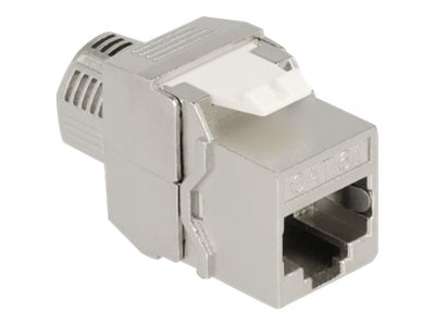 Delock - Keystone Jack - CAT 6a - RJ-45, LSA