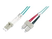 DIGITUS Professional - Patch-Kabel - LC Multi-Mode (M) zu SC multi-mode (M) - 1 m - Glasfaser - Duplex