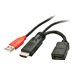 Lindy Stromeinspeisungsadaper - Strom- / Audio- / Videokabel - HDMI, USB (nur Strom) mnnlich zu HDMI weiblich