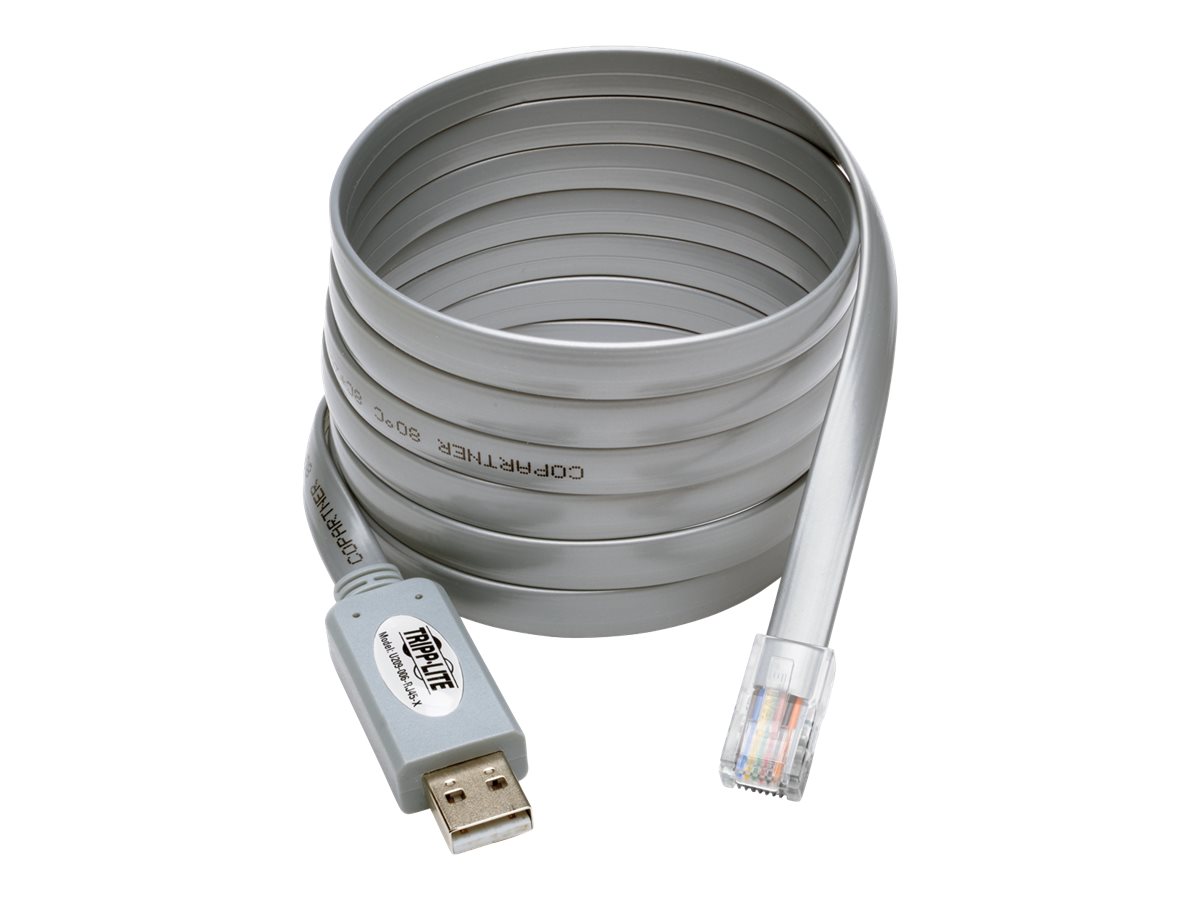 Tripp Lite USB to RJ45 Cisco Serial Rollover Cable, USB Type-A to RJ45 M/M, 6 ft - Serieller Adapter - USB - Grau